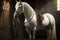 strong white stallion in stable with saddle and bridle dancing horse