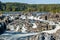 Strong White Water Rapids in Great Falls Park, Virginia Side