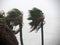 Strong wind during Hurricane Norma October 2023 La Paz Baja California Sur