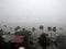 Strong wind during Hurricane Norma October 2023 La Paz Baja California Sur