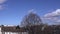 Strong wind moving bare trees with white clouds and blue sky