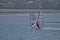 Strong wind windsurfing in Tamaki river