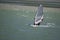 Strong wind windsurfing in Tamaki river