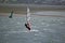 Strong wind windsurfing in Tamaki river