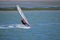 Strong wind windsurfing in Tamaki river