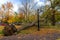 Strong winds in Molson Park at Montreal