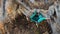 strong woman rock climber climbs hard tough rock route on very overhanging black cliff in cave.