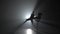 Strong women practicing capoeira in darkness against spotlight in studio.