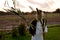 Strong young woman with a bulrush grass reed on rural field background at sunset