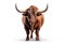 Strongest dark brown bull with muscles and long horns portrait looking at camera isolated on clear png background, Animals Fighter