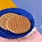 Stroopwafel Dutch caramel waffle on Colorful Background