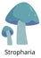 Stropharia icon. Forest mushroom. Natural organic fungus