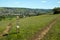 Stroud Valleys from The Cotswold Way long distance footpath