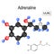 Structural chemical formula and model of molecule of adrenalin