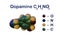 Structural chemical formula and molecular model of dopamine, also known as love and happiness hormone. It functions both