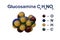 Structural chemical formula and molecular model of glucosamine. Glucosamine is used as a treatment for osteoarthitis