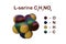 Structural chemical formula and molecular model of serine or l-serine, the nonessential amino acid present on spider