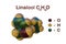 Structural chemical formula and space-filling molecular model of linalool, a monoterpene compound commonly found as