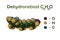 Structural chemical formula and spase-filling molecular model of dehydroretinol or vitamin A2, a vitamin occurs in the