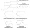 Structural chemical formulas of unsaturated fatty acids