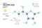 Structural chemical molecular formula and model of Ascorbic acid. Atoms are represented as spheres with color coding