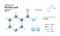 Structural chemical molecular formula and model of nicotinic acid. Atoms are represented as spheres with color coding