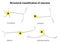 Structural classification of neurons