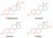 Structural formulas of female sex hormones with marked variable fragments