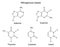 Structural formulas of purine and pyrimidine nitrogenous bases of DNA an RNA