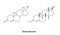 Structural formulas of testosterone molecule