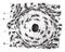 Structure of bone tissue or Osseous tissue, Cross-sectional radius of the bone, vintage engraving