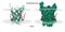 Structure of the bovine mitochondrial ADP-ATP carrier (translocase 1).