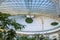 Structure of Ceiling in Kibble Palace