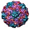 Structure of cold virus