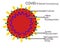 Structure of COVID 19 Novel Coronavirus, SARS COVID 2