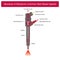 Structure of Electronic Common Rail Diesel Injector. Illustration e