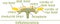 Structure of flower of sunflower in cross section. Diagram of flower head or pseudanthium. Parts of sunflower with titles