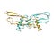 Structure of the human anti-Mullerian hormone AMH homodimer