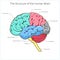 Structure of human brain schematic vector