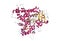 Structure of human cytochrome P450 CYP2C9 with heme and warfarin bound