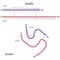 Structure of human insulin