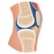 The structure of the human knee.