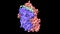 Structure of immune receptor HLA-DRB1 with vimentin bound