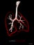 Structure of the lungs, Healthcare isolated black. 3d illustration