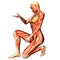 Structure of muscle woman in pose