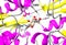 Structure of the periplasmic glucose/galactose receptor of Salmonella typhimurium