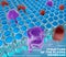 Structure of the plasma membrane