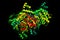 The structure of the protein molecule, tumor marker glioblastoma