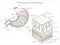 Structure of stomach medical educational vector