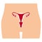 Structure of the uterus, female reproductive system, organs location scheme. Illustration of female reproductive system